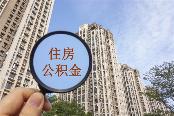丰城个人公积金查询-白沙公积金代办服务